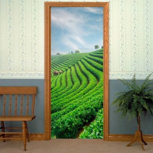 Vinilos y pegatinas puertas plantación de té Vinilos y pegatinas puertas plantación de té