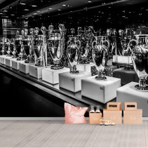 Fotomural o papel pintado bernabeu real madrid copas