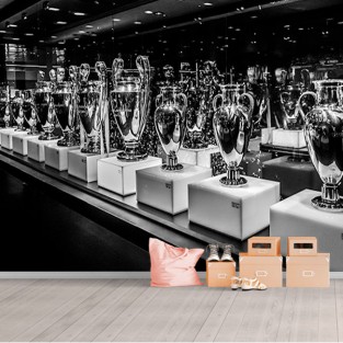 Fotomural o papel pintado bernabeu real madrid copas Fotomural o papel pintado bernabeu real madrid copas