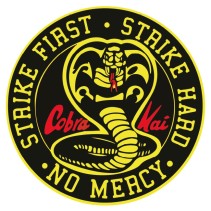 Vinilos decorativos cobra kai
