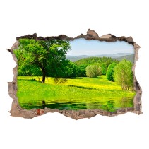 Vinilo agujero 3d paisaje árbol en el lago