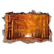 Vinilo agujero 3d árboles en otoño