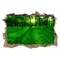 Vinilo agujero 3d parque verde con árboles