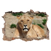Vinilo agujero 3d leona