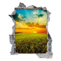 Vinilo agujero 3d puesta de sol en el campo