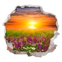 Vinilo agujero 3d puesta de sol flores en el campo