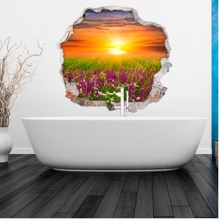 Vinilo agujero 3d puesta de sol flores en el campo