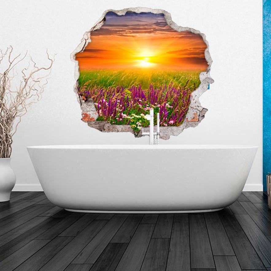 Vinilo agujero 3d puesta de sol flores en el campo