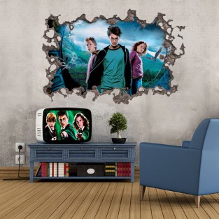 Vinilo agujero 3d pelicula harry potter