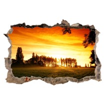 Pared Rota Vinilo 3D Atardecer en el bosque