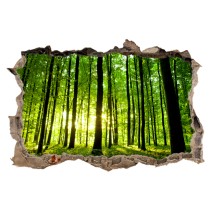 Pared Rota Vinilo 3D Bosque