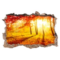 Vinilos agujero 3d paisaje árboles otoño