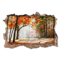 Vinilos agujero 3d paseo entre árboles en otoño