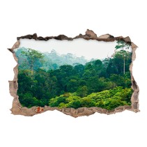 Vinilos agujero 3d paisaje árboles en la selva