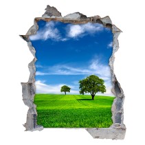 Vinilos agujero 3d paisaje árboles en el horizonte