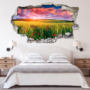 Vinilos agujero 3d atardecer en el campo de amapolas Vinilos agujero 3d atardecer en el campo de amapolas