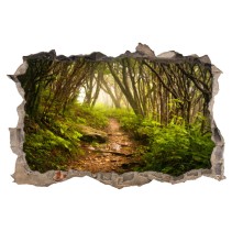 Vinilos agujero 3d camino entre árboles