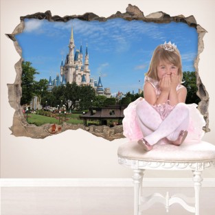 Vinilos 3d castillo walt disney world Vinilos 3d castillo walt disney world