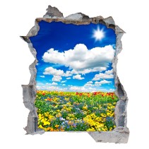 Vinilos agujero 3d paisaje flores en la pradera