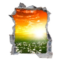 Vinilos agujero 3d campo margaritas blancas al atardecer