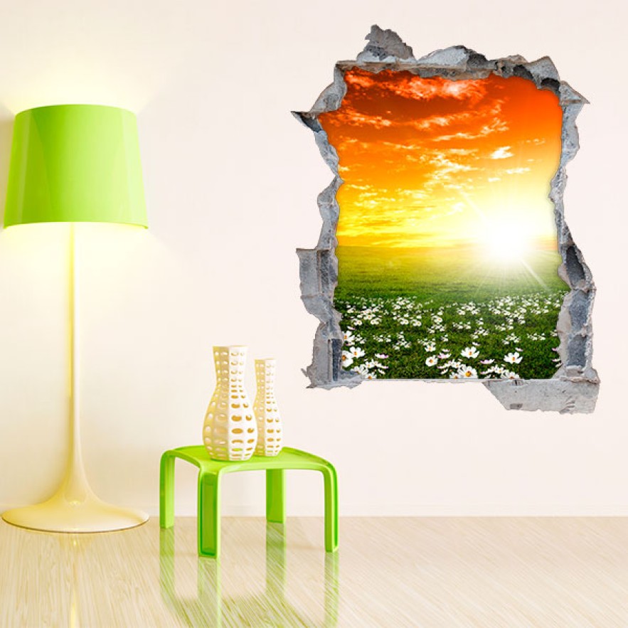 Vinilos agujero 3d campo margaritas blancas al atardecer