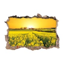 Vinilos agujero 3d flores pradera naturaleza