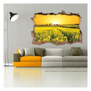 Vinilos agujero 3d flores pradera naturaleza Vinilos agujero 3d flores pradera naturaleza