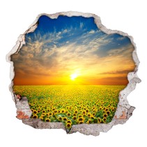 Vinilos agujero 3d girasoles en el campo al atardecer