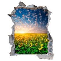 Vinilos agujeros 3d campo girasoles