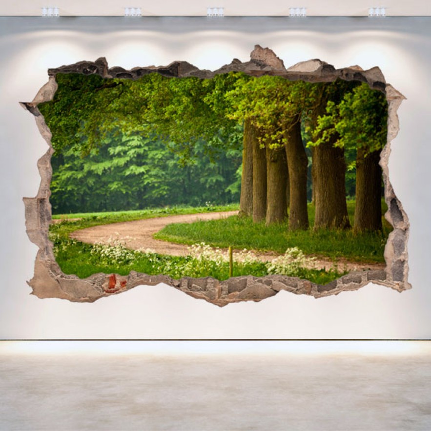 Vinilos agujero 3d camino y árboles en el bosque