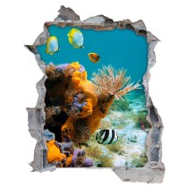 Vinilos agujero 3d vida submarina