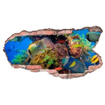 Vinilo agujero 3d peces bajo el mar