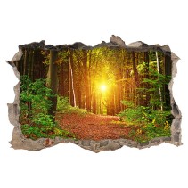 Vinilos agujero 3d puesta de sol bosque
