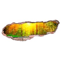 Vinilos agujero 3d rayos en el bosque