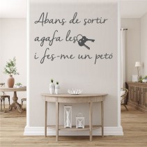 Vinilos adhesivos decorativos frases valenciano abans de sortir