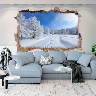 Vinilos agujero3d naturaleza nevada Vinilos agujero3d naturaleza nevada