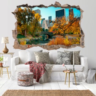 Vinilos agujero 3d central park new york Vinilos agujero 3d central park new york