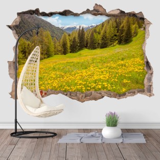 Vinilos agujero 3d campo tures italia Vinilos agujero 3d campo tures italia