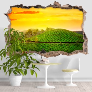 Vinilo agujero 3d india atardecer en el campo