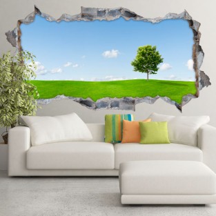 Vinilos agujero 3d árbol en la pradera Vinilos agujero 3d árbol en la pradera