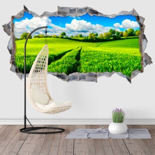 Vinilos agujero 3d paisaje campo Vinilos agujero 3d paisaje campo