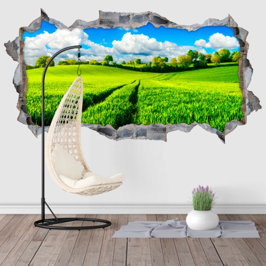 Vinilos agujero 3d paisaje campo