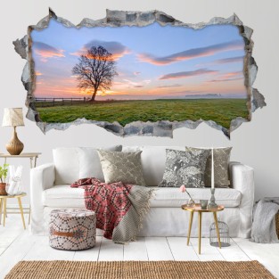 Vinilos agujero 3d paisaje campo en eslovenia