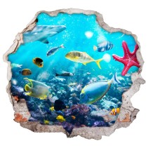 Vinilos agujero 3d peces y estrella de mar