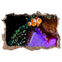 Vinilos agujeros 3d pez payaso y anémona