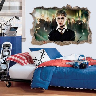 Vinilos y pegatinas agujero 3d harry potter