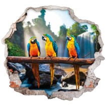 Vinilos agujeros 3d loros coloridos