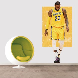 Vinilos y pegatinas lebron james Vinilos y pegatinas lebron james
