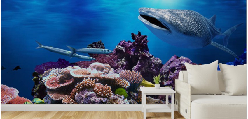 Decora tu hogar con el colorido y la hermosura de nuestros vinilos decorativos de corales
