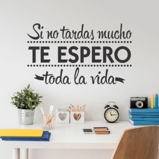 Vinilos de frases te espero toda la vida Vinilos de frases te espero toda la vida